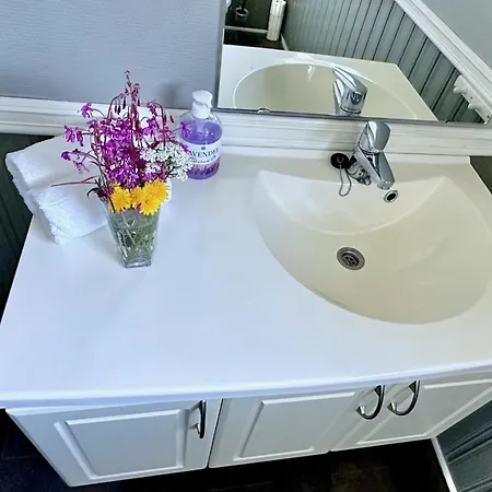 Lofoten Wildlife Panorama * Bostad