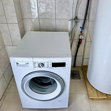 Lofoten Wildlife Panorama *