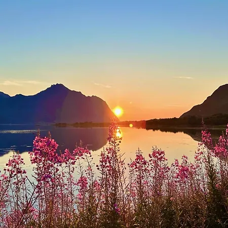 度假居 Lofoten Wildlife Panorama Bostad