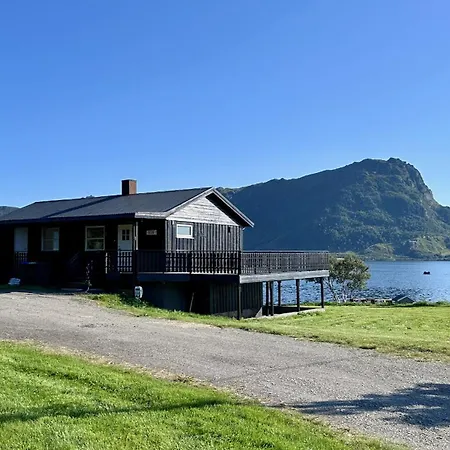 Lofoten Wildlife Panorama *