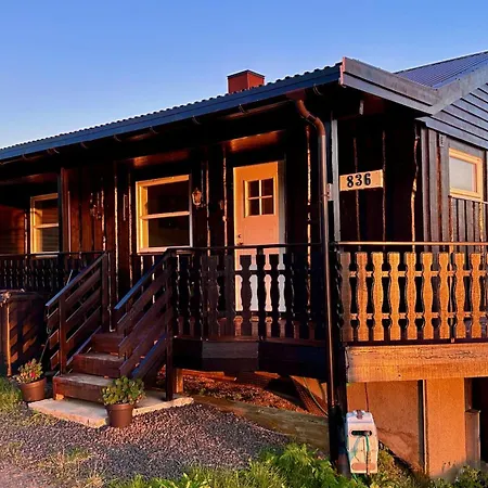 Lofoten Wildlife Panorama