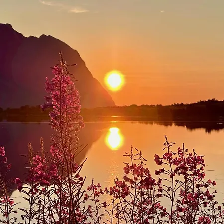 度假居 Lofoten Wildlife Panorama Bostad
