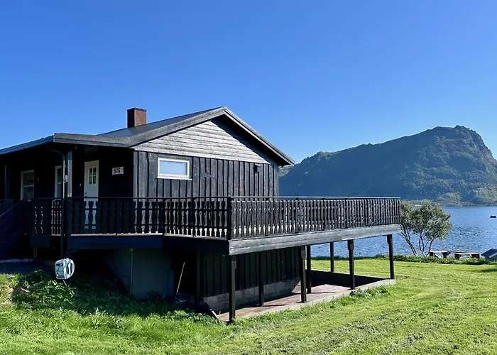 Lofoten Wildlife Panorama *