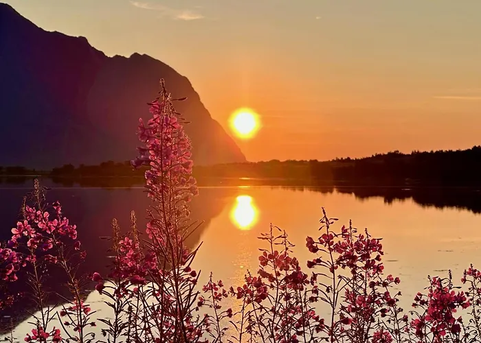 Semesterbostad Lofoten Wildlife Panorama Bostad